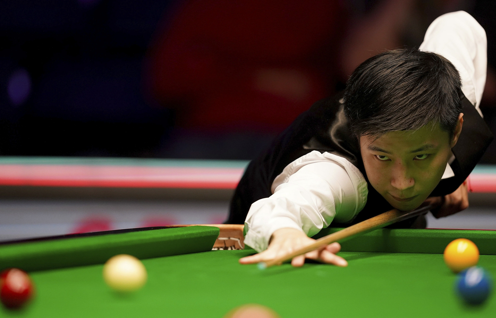 的特点将有 的特点将有