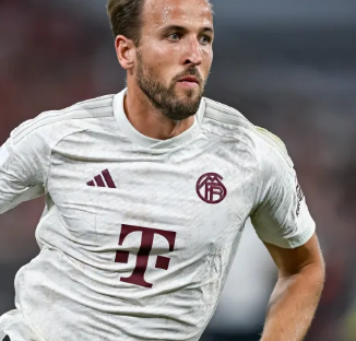 阿斯皮利奎 阿斯皮利奎