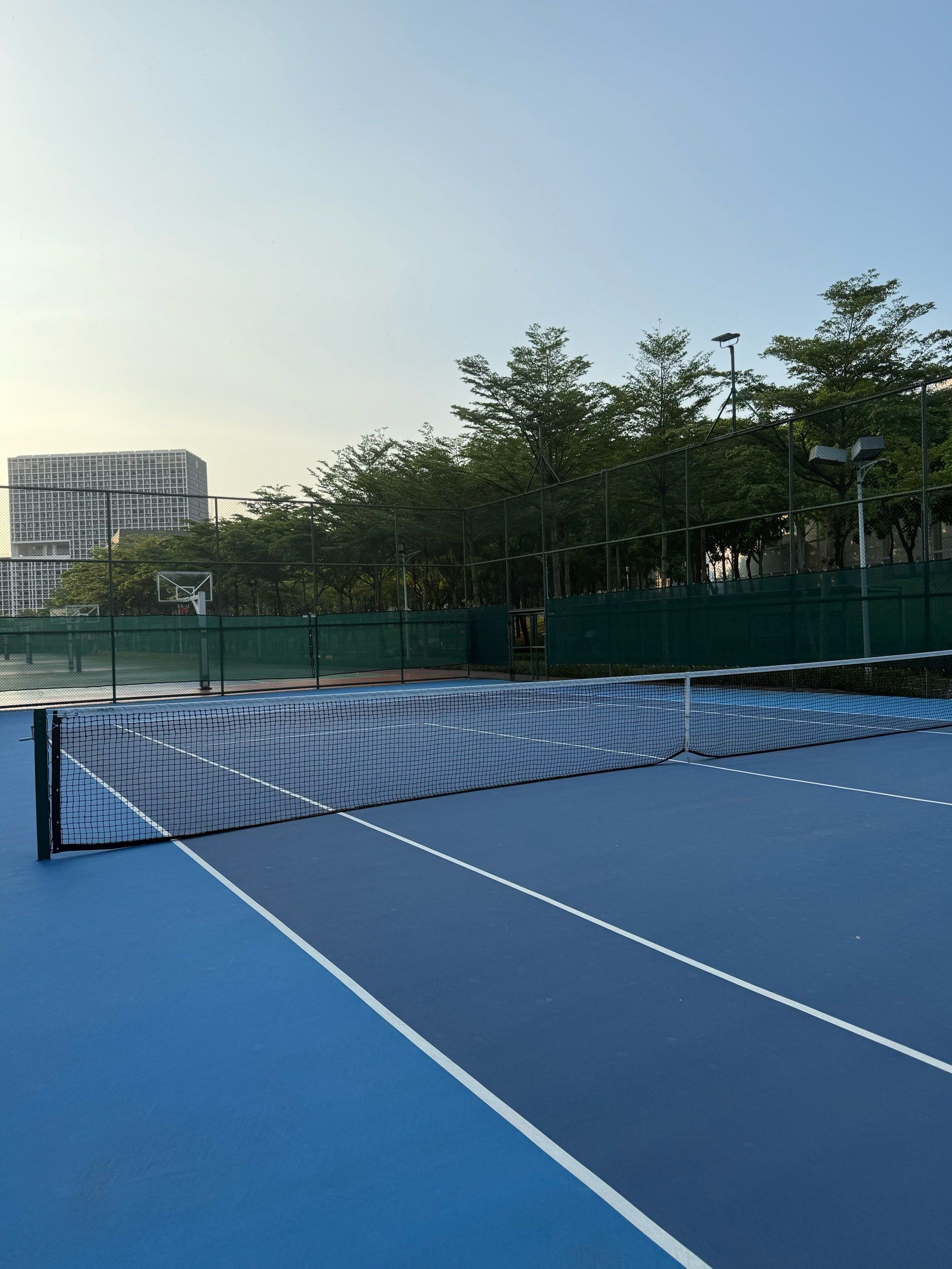 卫的回归 卫的回归