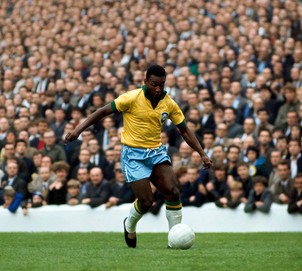 美国地区将 美国地区将